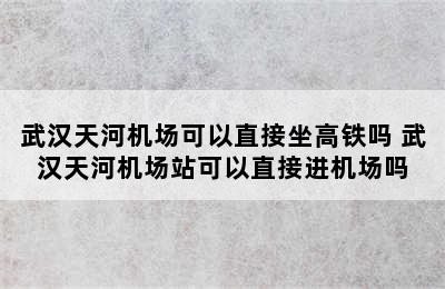 武汉天河机场可以直接坐高铁吗 武汉天河机场站可以直接进机场吗